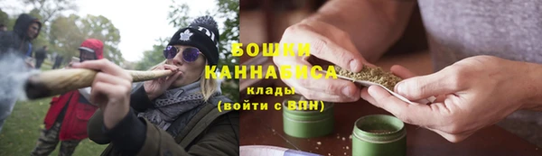 молекула духа Осинники