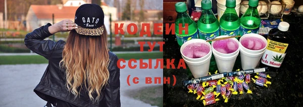 молекула духа Осинники